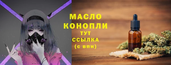 молекула духа Болотное