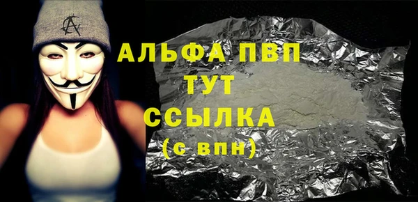 молекула духа Болотное
