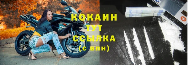 соль ск Няндома