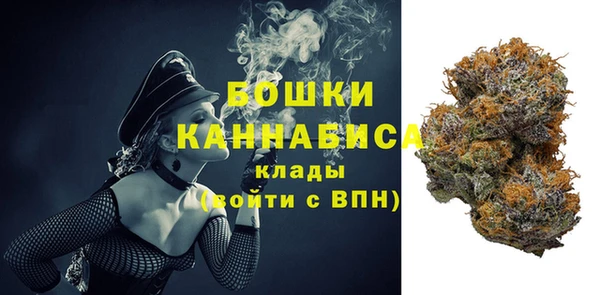 соль ск Няндома