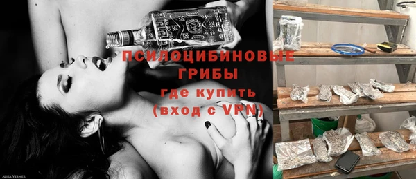 соль ск Няндома