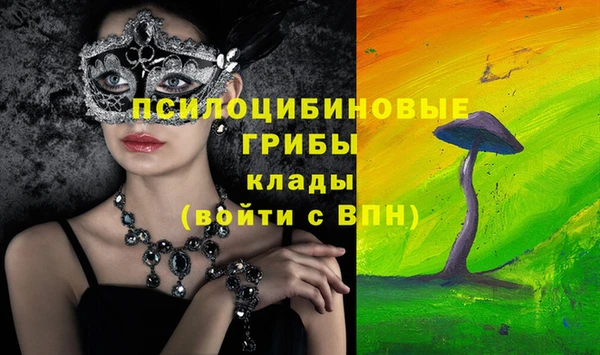 PSILOCYBIN Нягань