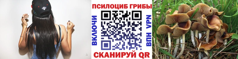 KRAKEN как зайти  Балашиха  Псилоцибиновые грибы Cubensis 
