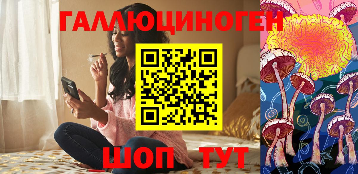 Галлюциногенные грибы Psilocybine cubensis Балашиха
