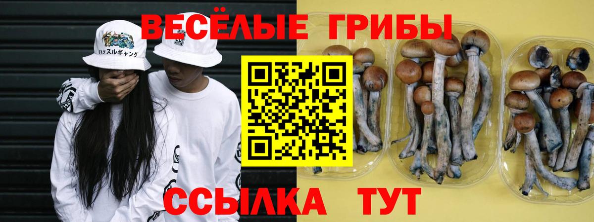 Балашиха  Псилоцибиновые грибы мицелий  Вход с VPN 